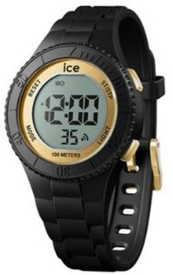  Ice-Watch 021607                                         S