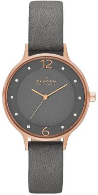  Skagen SKW2267                                        %